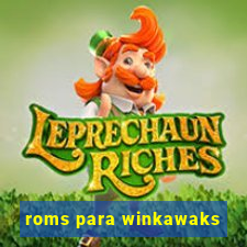 roms para winkawaks